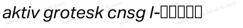 aktiv grotesk cnsg l字体转换